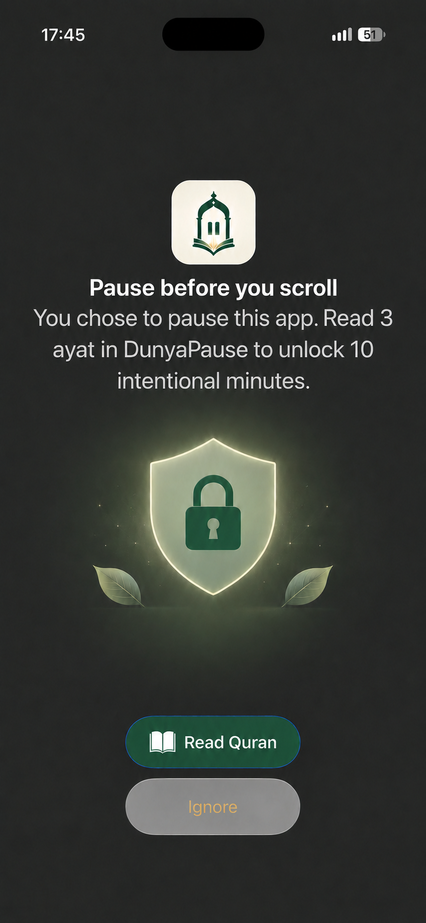 DunyaPause summary screen before enabling protection.
